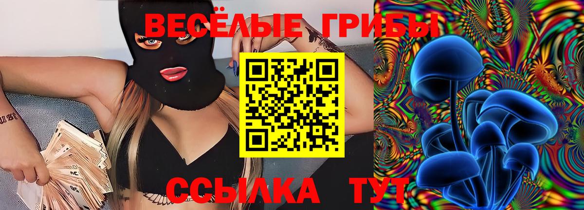 Астрахань  Галлюциногенные грибы Psilocybine cubensis  Псилоцибиновые грибы мухоморы  Вход с VPN 